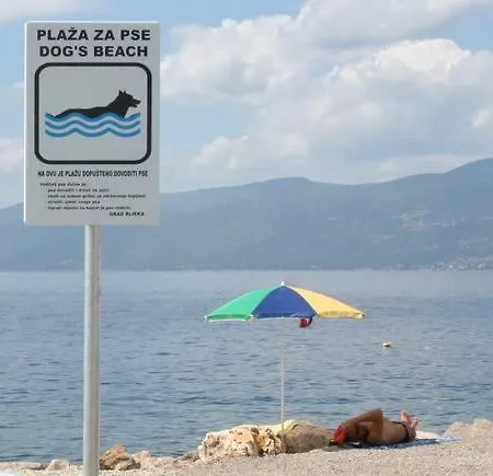 Apartment Family Apt Magnolia - Sea View - Garden - 3 Bedrooms - 2 Bathrooms - 5 Min Walk From